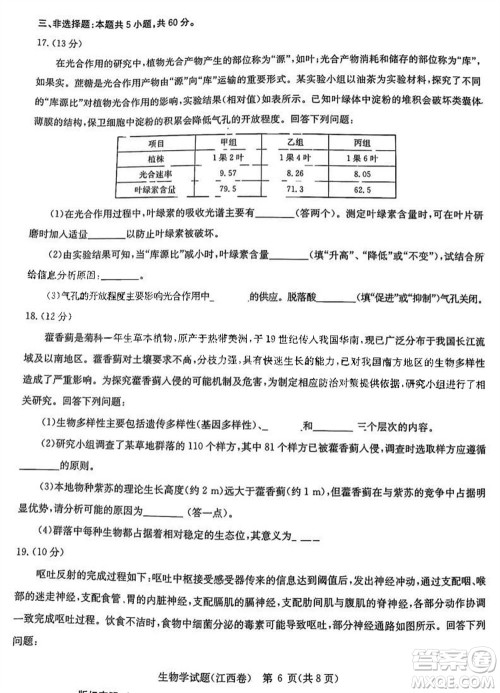 华大新高考联盟2024届高三11月教学质量测评江西卷生物参考答案