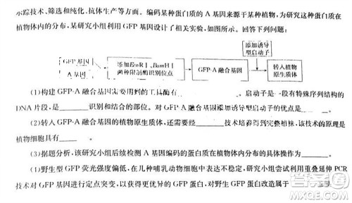 华大新高考联盟2024届高三11月教学质量测评江西卷生物参考答案