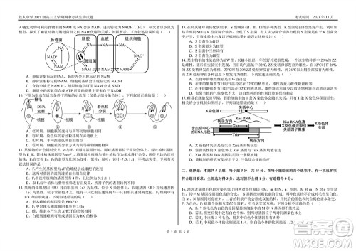 铁人中学2021级高三上学期11月期中考试生物参考答案