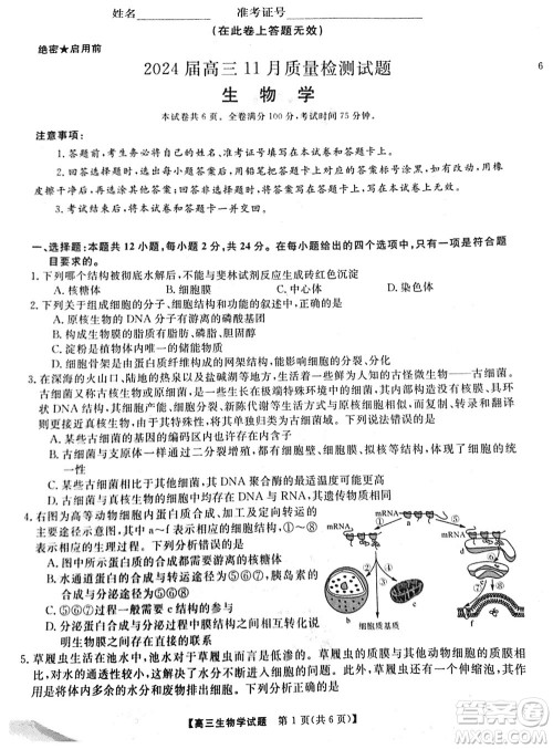 湖南天壹名校联盟2024届高三上学期11月质量检测试题生物参考答案