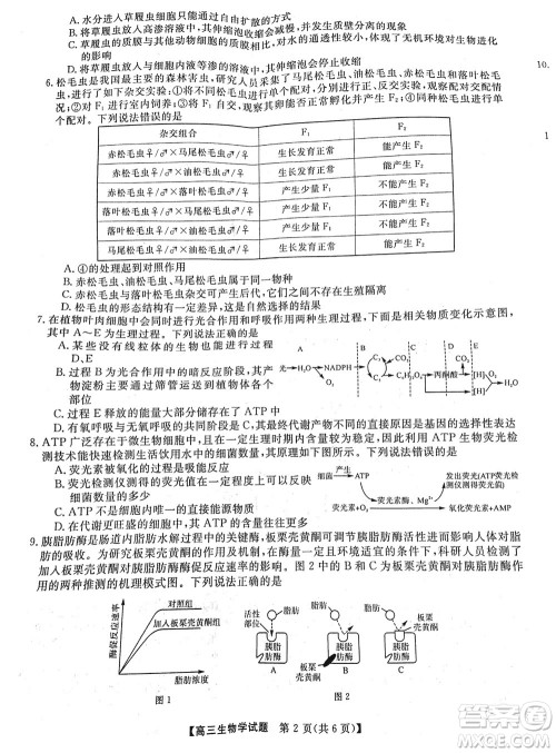 湖南天壹名校联盟2024届高三上学期11月质量检测试题生物参考答案