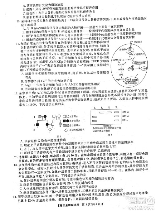 湖南天壹名校联盟2024届高三上学期11月质量检测试题生物参考答案