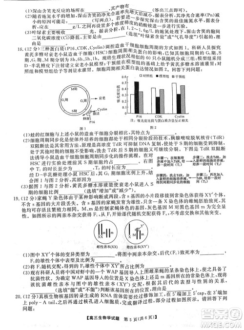 湖南天壹名校联盟2024届高三上学期11月质量检测试题生物参考答案