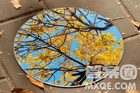 窗外有一个___为题作文600字 关于窗外有一个___为题的作文600字