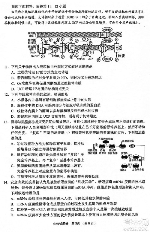 金丽衢十二校2024届高三上学期12月第一次联考生物参考答案