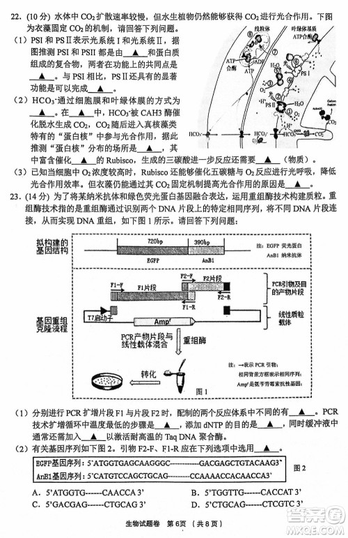 金丽衢十二校2024届高三上学期12月第一次联考生物参考答案 金丽衢十二校2024届高三上学期12月第一次联考生物参考答案