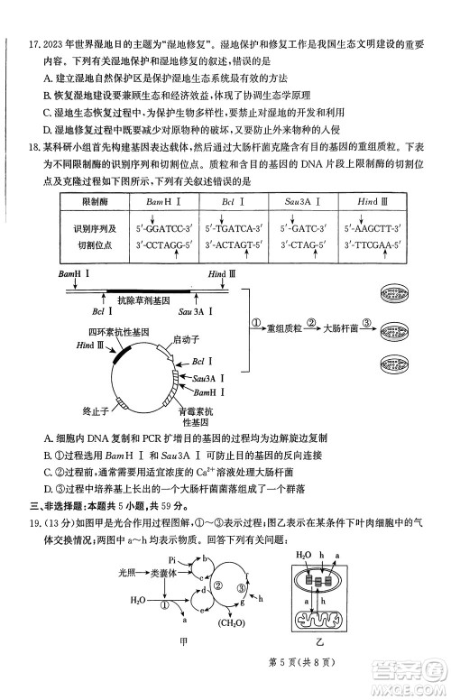 2024届河北省部分重点高中高三上学期12月普通高考模拟试题生物参考答案