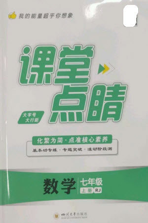 四川大学出版社2023年秋课堂点睛七年级数学上册人教版参考答案