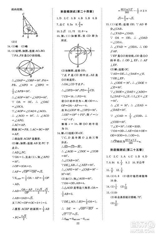 延边教育出版社2023年秋畅行课堂九年级数学全一册人教版答案