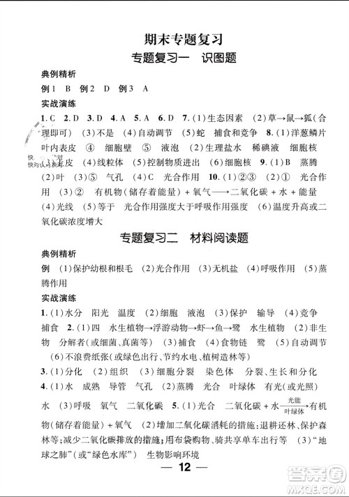 江西教育出版社2023年秋精英新课堂三点分层作业七年级生物上册人教版参考答案 江西教育出版社2023年秋精英新课堂三点分层作业七年级生物上册人教版参考答案