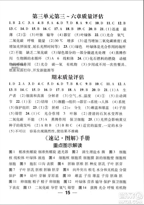 江西教育出版社2023年秋精英新课堂三点分层作业七年级生物上册人教版参考答案 江西教育出版社2023年秋精英新课堂三点分层作业七年级生物上册人教版参考答案
