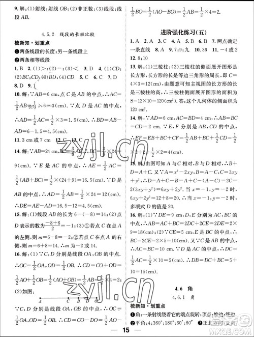 江西教育出版社2023年秋精英新课堂三点分层作业七年级数学上册华师版参考答案