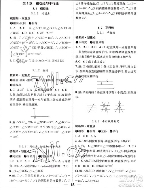 江西教育出版社2023年秋精英新课堂三点分层作业七年级数学上册华师版参考答案