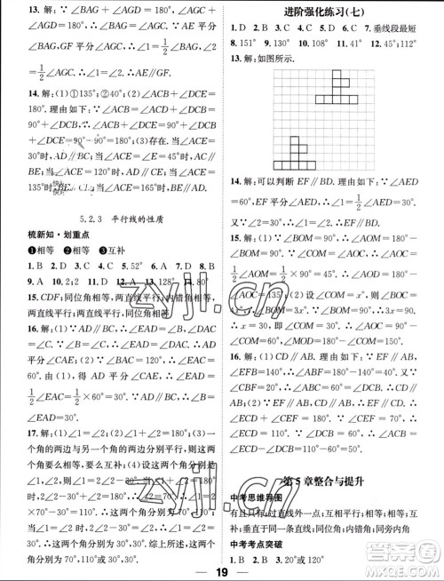 江西教育出版社2023年秋精英新课堂三点分层作业七年级数学上册华师版参考答案