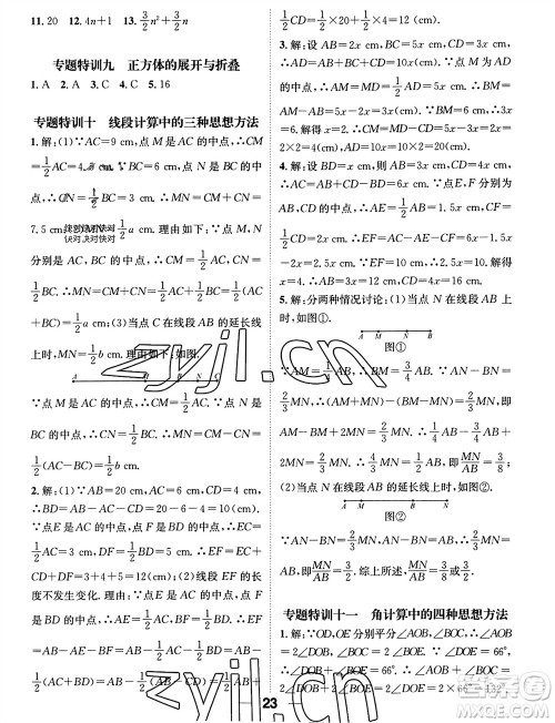 江西教育出版社2023年秋精英新课堂三点分层作业七年级数学上册华师版参考答案