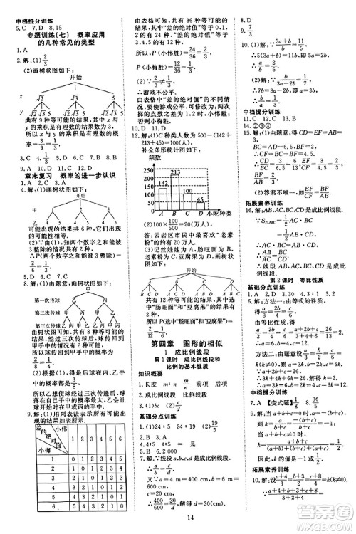 延边教育出版社2023年秋畅行课堂九年级数学上册北师大版答案