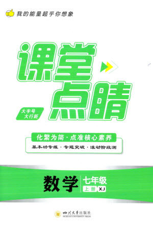 四川大学出版社2023年秋课堂点睛七年级数学上册湘教版参考答案