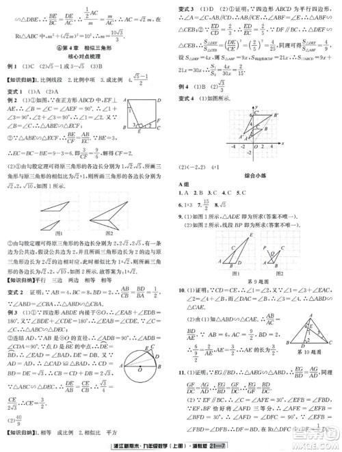 延边人民出版社2023年秋浙江新期末九年级数学上册浙教版浙江专版答案