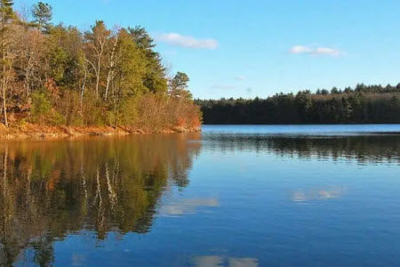 生命的诗意主题征文材料作文800字 关于生命的诗意主题征文的材料作文800字 生命的诗意主题征文材料作文800字 关于生命的诗意主题征文的材料作文800字