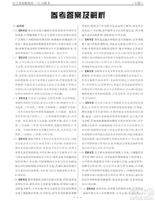 辽宁名校联盟2023-2024年高一上12月联考生物试卷答案 辽宁名校联盟2023-2024年高一上12月联考生物试卷答案