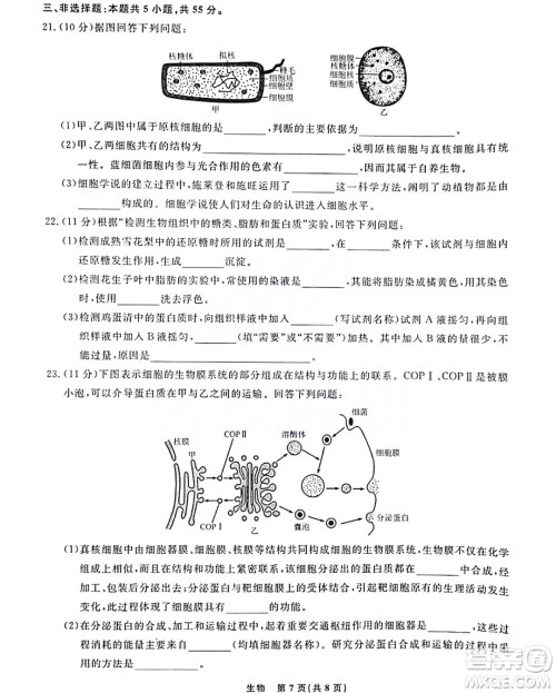 辽宁名校联盟2023-2024年高一上12月联考生物试卷答案 辽宁名校联盟2023-2024年高一上12月联考生物试卷答案