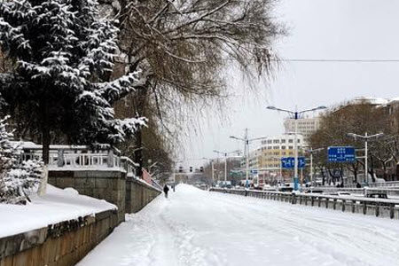 哈工大学生去上课像登机材料作文800字 关于哈工大学生去上课像登机的材料作文800字