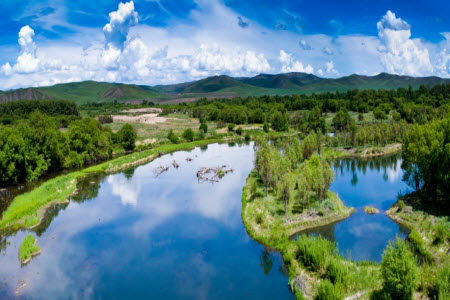 对于青年人来说生活追求可以有丝竹清音作文800字 关于对于青年人来说生活追求可以有丝竹清音作文的材料作文800字