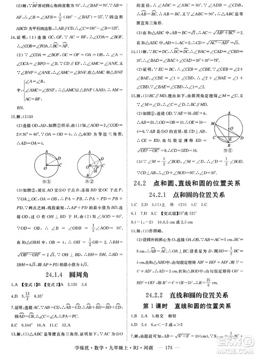 延边大学出版社2023年秋学练优九年级数学上册人教版河南专版答案