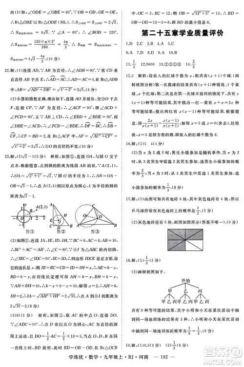 延边大学出版社2023年秋学练优九年级数学上册人教版河南专版答案