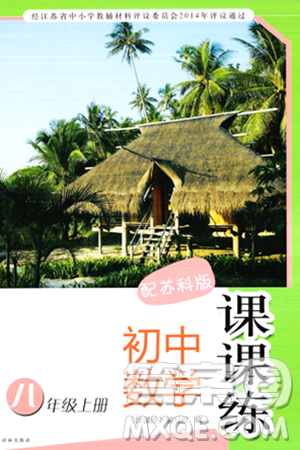 译林出版社2023年秋课课练初中数学八年级数学上册苏科版答案