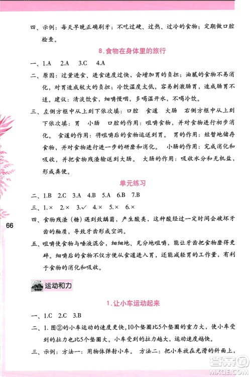 海燕出版社2023年秋科学学习与巩固四年级科学上册教科版答案