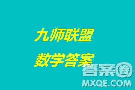 九师联盟联考2024届高三12月质量检测新高考数学试题答案