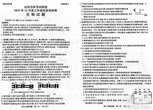 山东名校考试联盟2023年12月高三年级阶段性检测生物试题参考答案