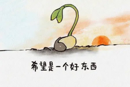 等待和希望的看法材料作文800字 关于等待和希望的看法的材料作文800字