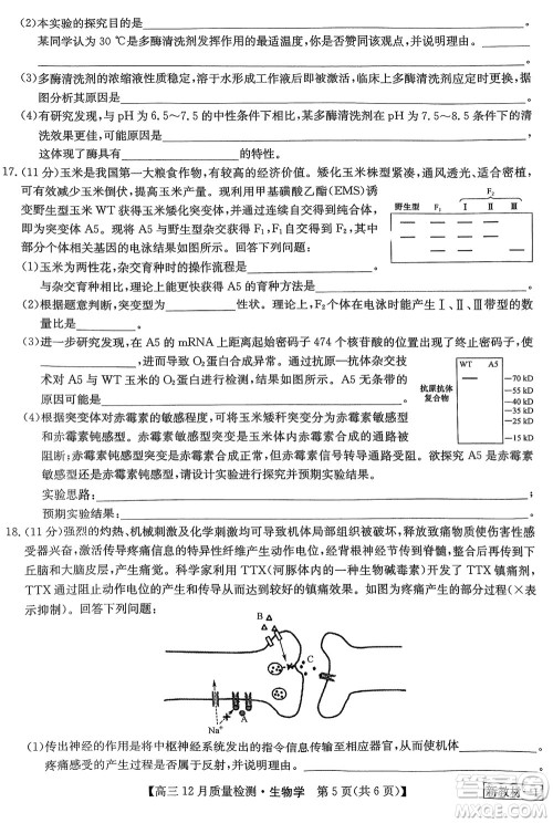 九师联盟联考2024届高三12月质量检测新教材生物试题参考答案