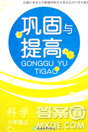 浙江教育出版社2023年秋巩固与提高八年级科学上册通用版答案