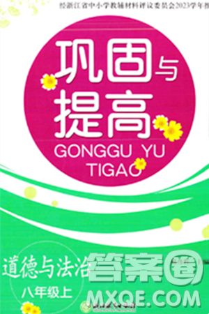 浙江教育出版社2023年秋巩固与提高八年级道德与法治上册通用版答案 浙江教育出版社2023年秋巩固与提高八年级道德与法治上册通用版答案