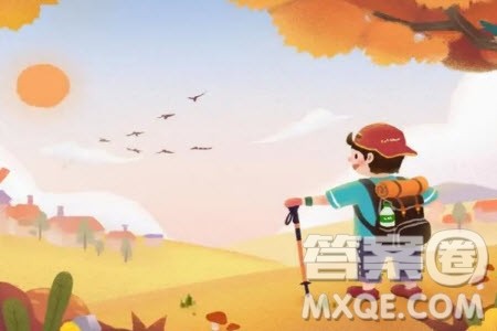 在生活中我们会寻找各种指南材料作文800字