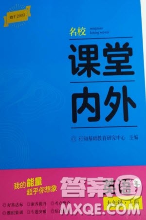 四川大学出版社2023年秋名校课堂内外九年级英语上册译林版参考答案