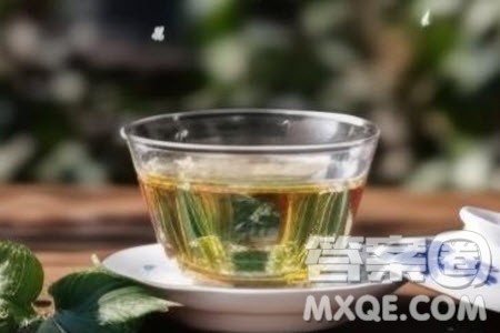 人生中的不圆满能在艺术中得到弥补吗材料作文800字