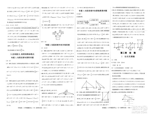 延边大学出版社2023年秋学练优八年级数学上册北师大版贵州专版答案 延边大学出版社2023年秋学练优八年级数学上册北师大版贵州专版答案