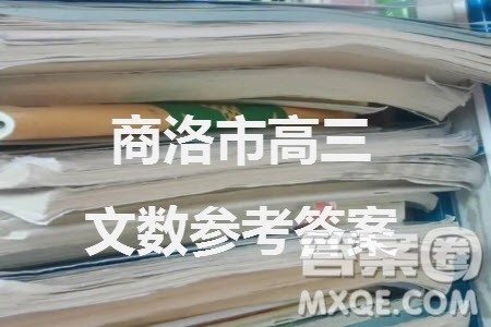 商洛市2024届高三上学期第一次模拟检测文科数学试卷参考答案