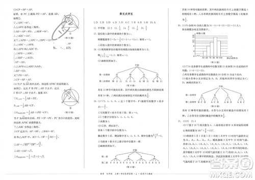 四川教育出版社2023年秋学情点评九年级数学上册人教版参考答案