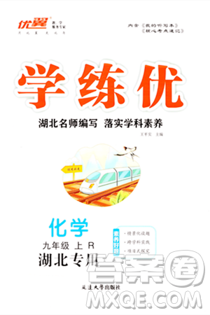 延边大学出版社2023年秋学练优九年级化学上册人教版湖北专版答案