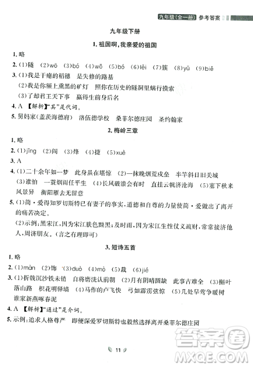 延边大学出版社2023年秋点石成金金牌夺冠九年级语文全一册人教版辽宁专版答案