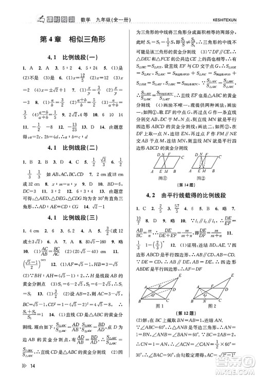 浙江人民出版社2023年秋课时特训九年级数学全一册浙教版答案