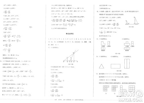 四川教育出版社2023年秋学情点评九年级数学上册北师大版参考答案