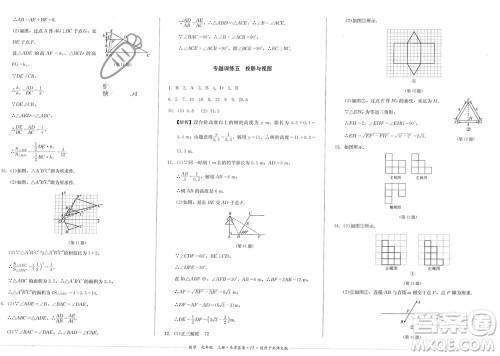 四川教育出版社2023年秋学情点评九年级数学上册北师大版参考答案