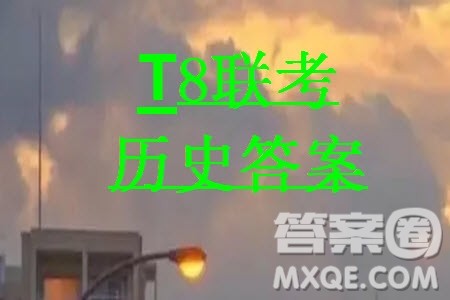 T8联考2024届高三上学期第一次学业质量评价历史参考答案 T8联考2024届高三上学期第一次学业质量评价历史参考答案
