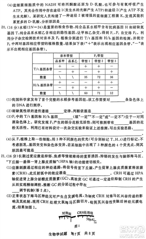 T8联考2024届高三上学期第一次学业质量评价生物参考答案 T8联考2024届高三上学期第一次学业质量评价生物参考答案